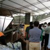 Inspection of Organic Fertilizer Production Projects 